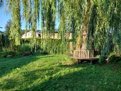 a bench sitting under a tree in a field at ROSE house - greenline accomodations in Ljubljana