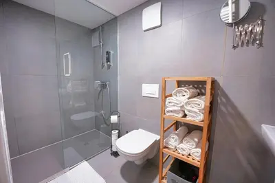 a bathroom with a shower and a toilet and a sink at Aroma apartments in Ljubljana