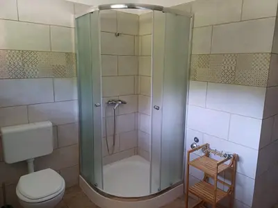 a bathroom with a shower and a toilet at Apartma Ginga in Osilnica