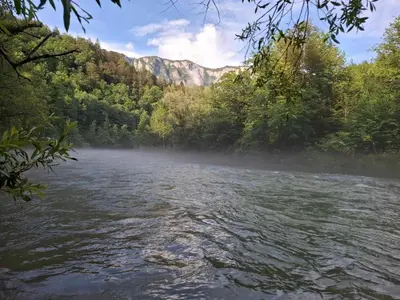 a view of a river with trees in the background at Apartma Ginga in Osilnica