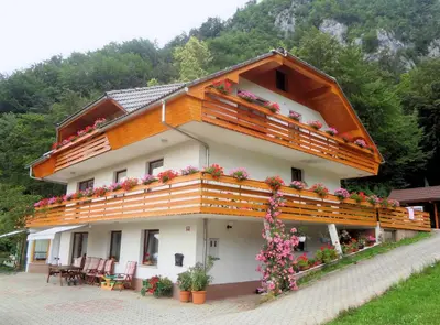 a house with flowers on the balcony at Fine Stay Apartments in Žirovnica