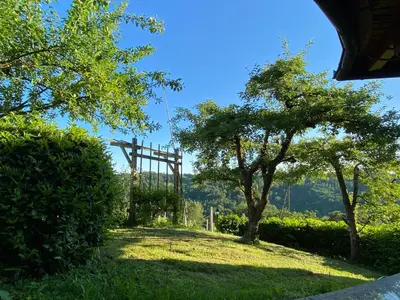 a view of a garden with trees and a swing at Apartma Medvedjek in Velika Loka