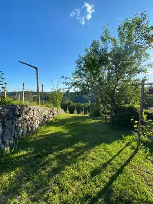 a stone wall and a tree in a field at Apartma Medvedjek in Velika Loka