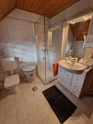 a bathroom with a shower and a sink and a toilet at House 29 in Begunje na Gorenjskem