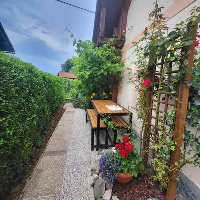 a garden path with a bench and flowers at House 29 in Begunje na Gorenjskem