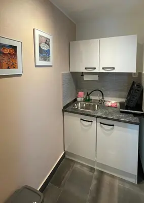 a small kitchen with white cabinets and a sink at Roses Apartment Prijeten apartma za dve osebi in Mengeš