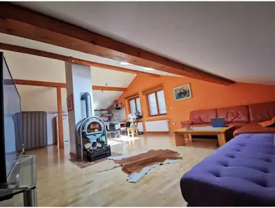 a living room with a couch and a fireplace at Morning sunshine in Bled