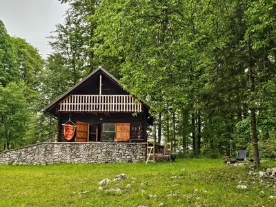 a cabin in the middle of a field with trees at Somova gora chalet in the woods in Kočevje