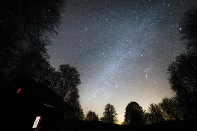 a starry night with the milky way in the sky at Somova gora chalet in the woods in Kočevje