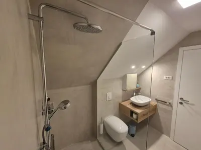 a bathroom with a shower and a toilet and a sink at Hiša Oblak in Gozd Martuljek