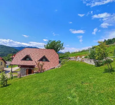 a house on a hill with a green yard at Holiday home in Dolenjske Toplice - Kranjska (Krain) 51092 in Dolenjske Toplice