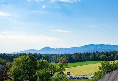 a view of a field with mountains in the background at Turistična kmetija Pri Marku in Žabnica