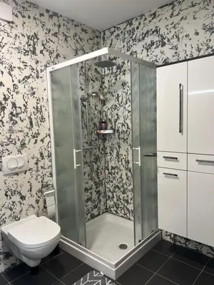 a bathroom with a shower and a toilet at Apartment Anaa in Radovljica