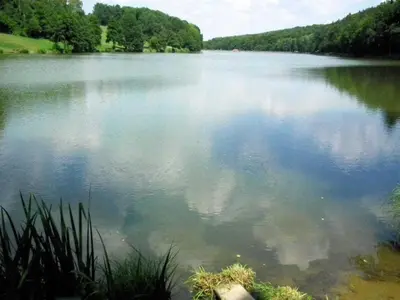 a view of a large body of water with trees at Paulusberg Comfortable holiday residence in Ivanjkovci