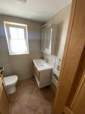 a bathroom with a toilet and a sink and a window at Vineyard Cottage Joanna in Mirna Peč