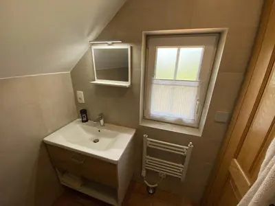 a bathroom with a sink and a window at Vineyard Cottage Joanna in Mirna Peč