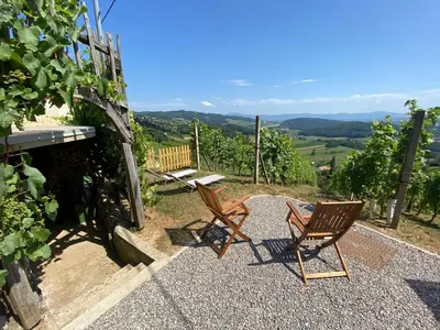 two chairs and a table on a patio with a view at Vineyard Cottage Joanna in Mirna Peč