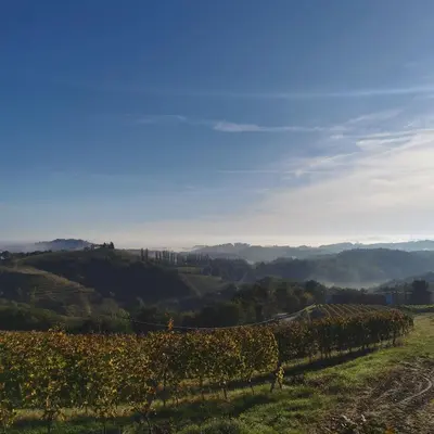 a view of a vineyard in the hills at Apartment Relax in Raskrižje
