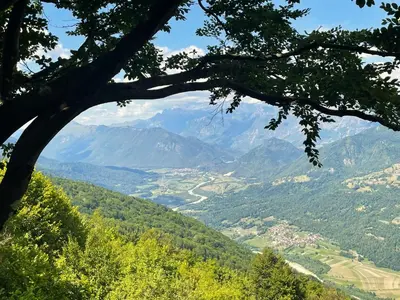 a view of a valley from a tree at Apartma Savan in Tolmin