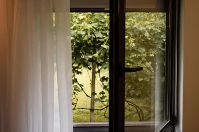 a window with a view of a tree at Brodnik Apartment in Trbonje