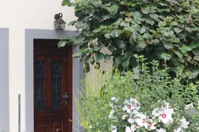 a door to a building with a plant at Studio Pr' Oreharjo in Zgornje Gorje