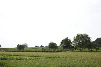 a field of grass with trees in the distance at Studio Pr' Oreharjo in Zgornje Gorje