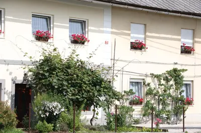a white house with flowers in window boxes at Studio Pr' Oreharjo in Zgornje Gorje