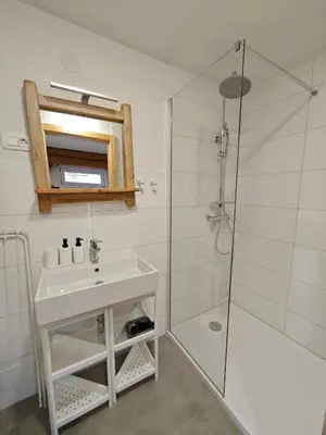 a white bathroom with a sink and a shower at Slovenian House Mira in Zgornje Gorje