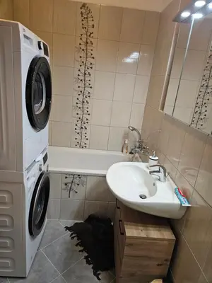a bathroom with a washing machine and a sink at Woodstone 6 in Pekre