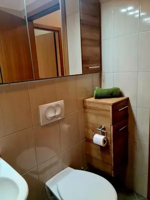a bathroom with a toilet and a sink and a mirror at Woodstone 6 in Pekre