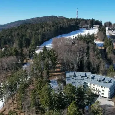 Woodstone 6