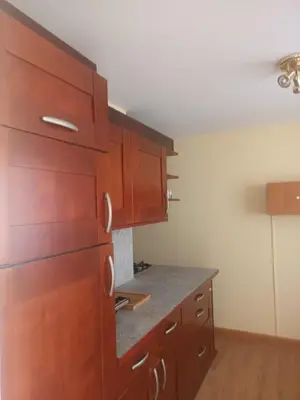a kitchen with wooden cabinets and a gray counter top at apartma Grad in Motnik