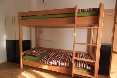 a bunk bed with a ladder in a room at Hostel Vrba in Ljubljana