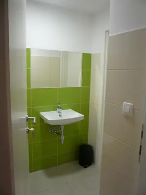 a bathroom with a sink and a green wall at Hostel Vrba in Ljubljana