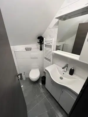 a white bathroom with a toilet and a sink at ApartmaSLB in Slovenska Bistrica