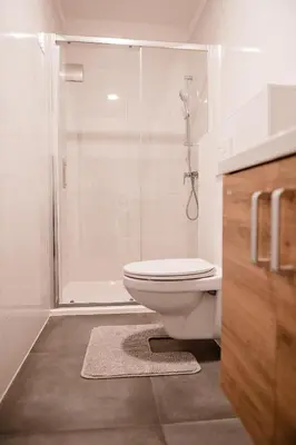 a white bathroom with a shower and a toilet at Apartment METULJ in Domžale