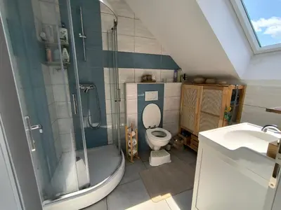 a bathroom with a shower and a toilet and a sink at Glasbeni atelje Tri ptičice in Kranj