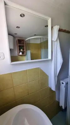 a bathroom with a toilet and a mirror at Pool place in Petrovče
