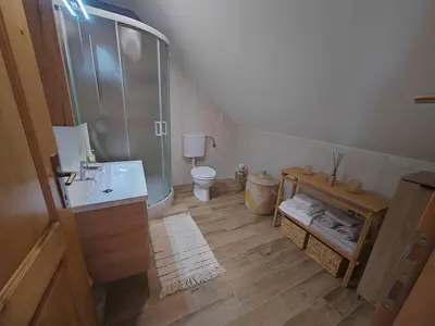 a bathroom with a shower and a sink and a toilet at Apartment Boris Sveta Planina in Knezdol