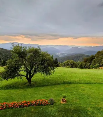 a tree in a field with a view of mountains at Apartment Boris Sveta Planina in Knezdol
