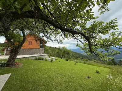a house on a hill with a green yard with a tree at Apartment Boris Sveta Planina in Knezdol