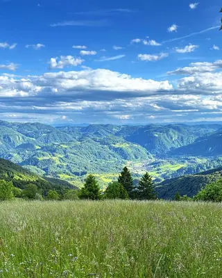 a field of grass with mountains in the background at Apartment Boris Sveta Planina in Knezdol