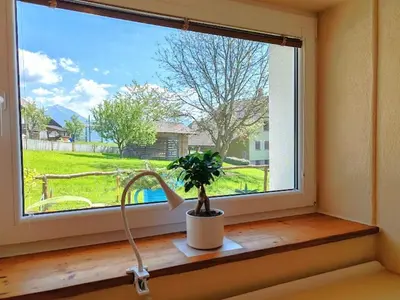 a window with a potted plant sitting on a window sill at Riverdance with mountain view, garden and private parking in Bled