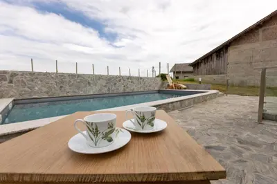 two coffee cups on a wooden table next to a pool at Roland House with Pool & Winery in Stara Vas-Bizeljsko