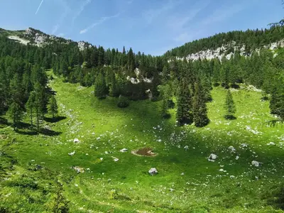 a green field with trees on a mountain at Apartment Studio MY RESIDENCE in the city center in Ljubljana