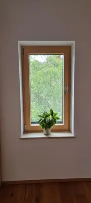 a window with a potted plant in a room at Vila Zavino in Branik