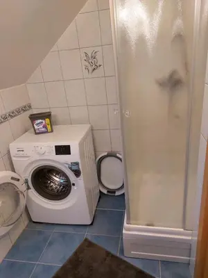 a washing machine in a bathroom next to a washer at Ferienwohnung Bohinj in Bohinjska Bistrica