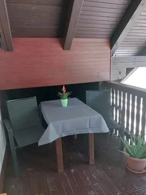 a table with two chairs and a potted plant on a balcony at Ferienwohnung Bohinj in Bohinjska Bistrica