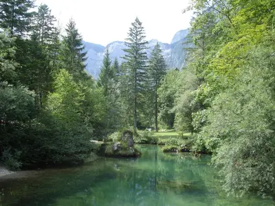 a river in a forest with green water and trees at Ferienwohnung Bohinj in Bohinjska Bistrica