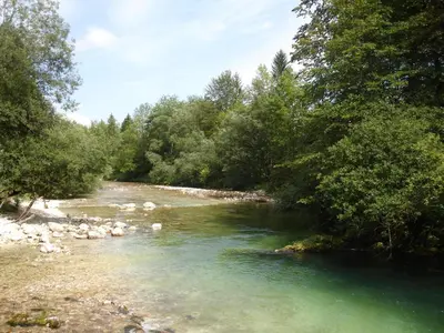 a river with trees on the side of it at Ferienwohnung Bohinj in Bohinjska Bistrica
